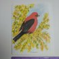 Paralyzed Veterans PVA John Cornacchio Blank Note Card Scarlet Tanager Bird