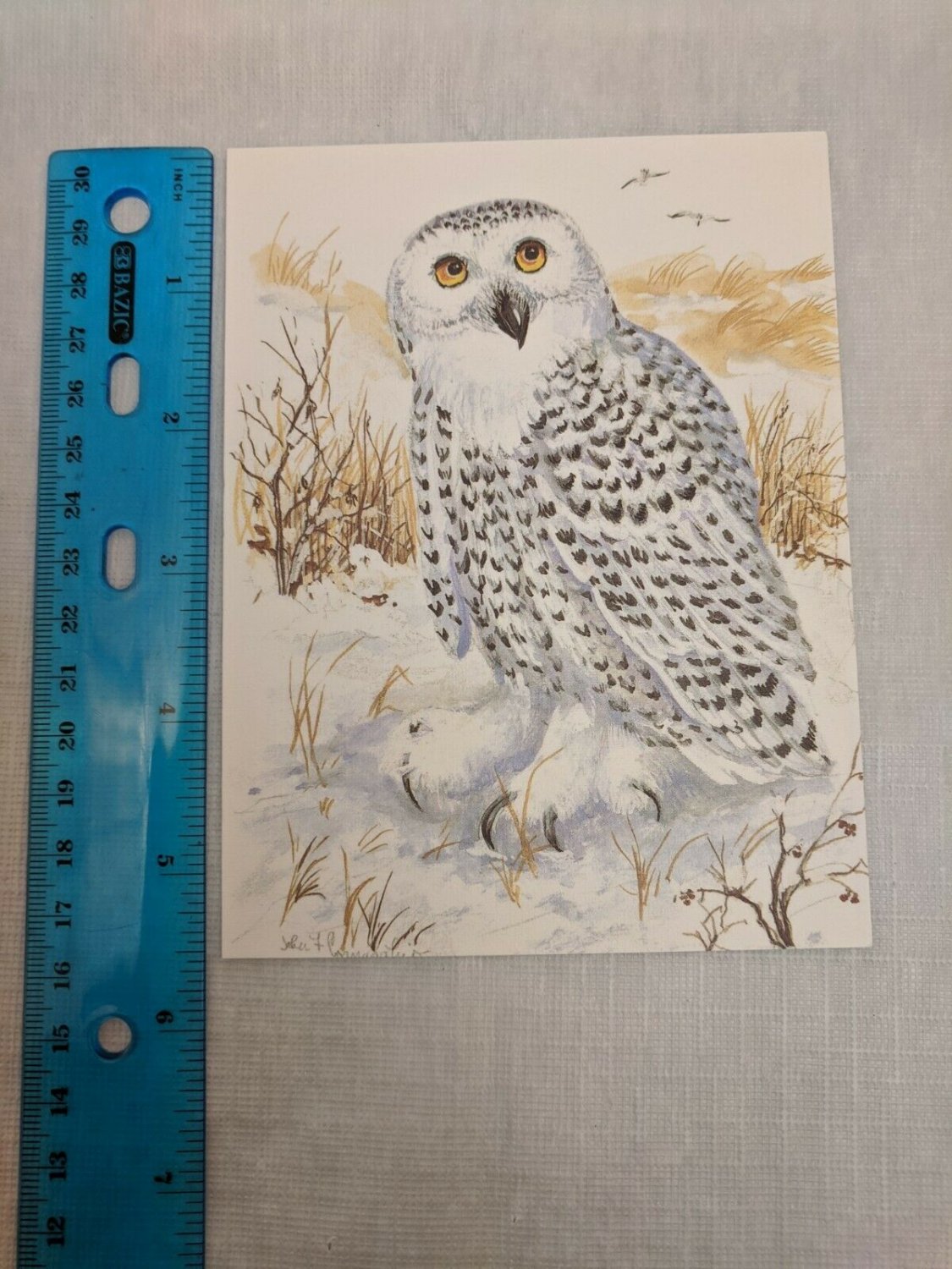 Note Card Blank Inside Snowy Owl Art by John Cornacchio