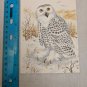Note Card Blank Inside Snowy Owl Art by John Cornacchio