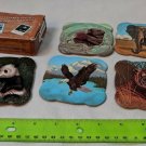 Endangered Species Coaster Set by Great American Opportunities Vintage