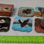 Endangered Species Coaster Set by Great American Opportunities Vintage