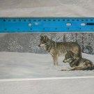 Blank Note Card - Pair of Wolves in Snow by Jon Ren/Wild Wings