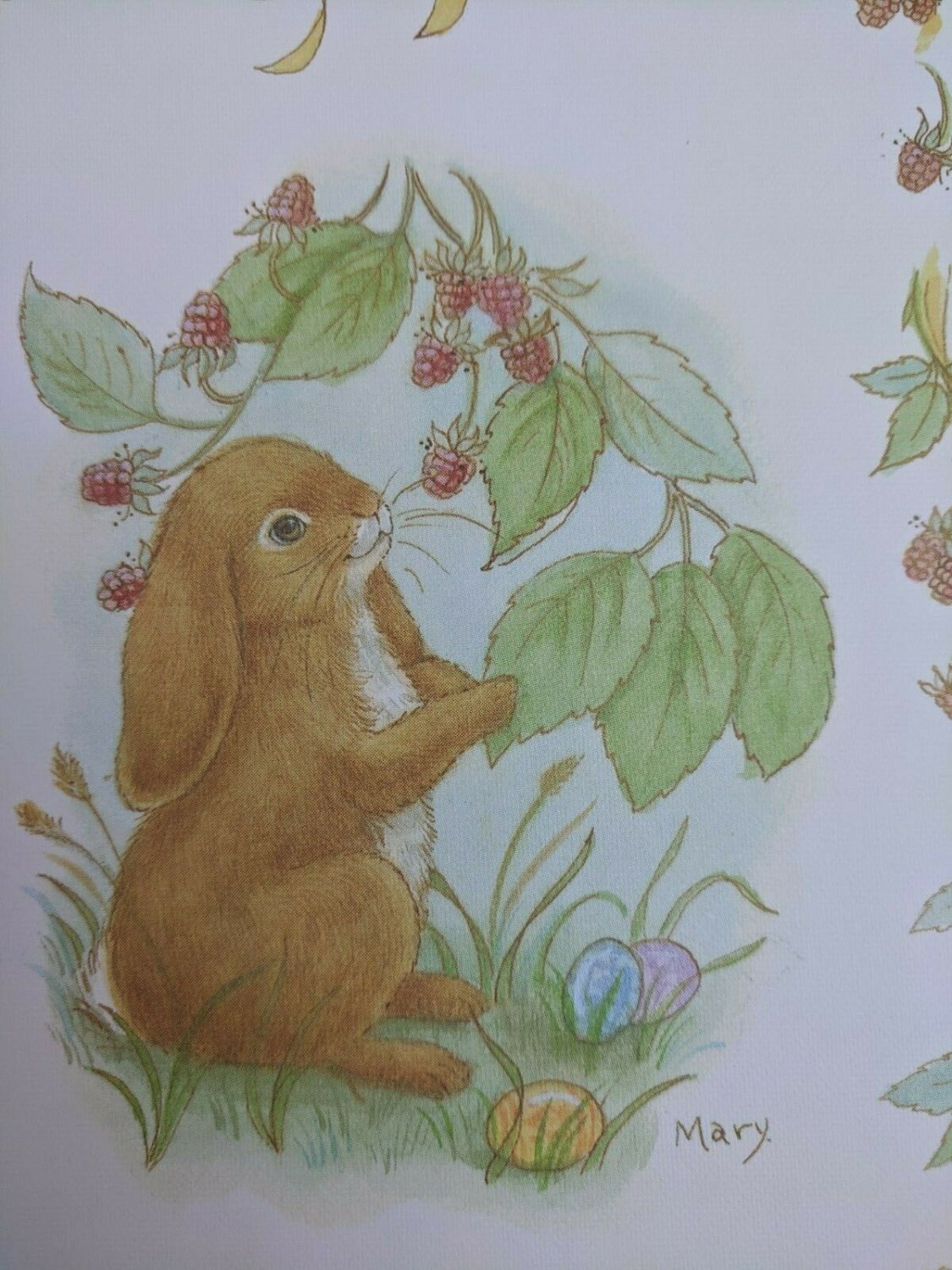 Current Inc Floppy-Eared Bunnies by Mary Morgan Raspberries & Easter Eggs Note