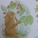 Current Inc Floppy-Eared Bunnies by Mary Morgan Raspberries & Easter Eggs Note