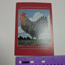 Barry Wilson Black & White Chicken Greeting Card Unused