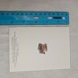 Crown Point Graphics Otter Gingerbread House Designs Kittens & Book Stack