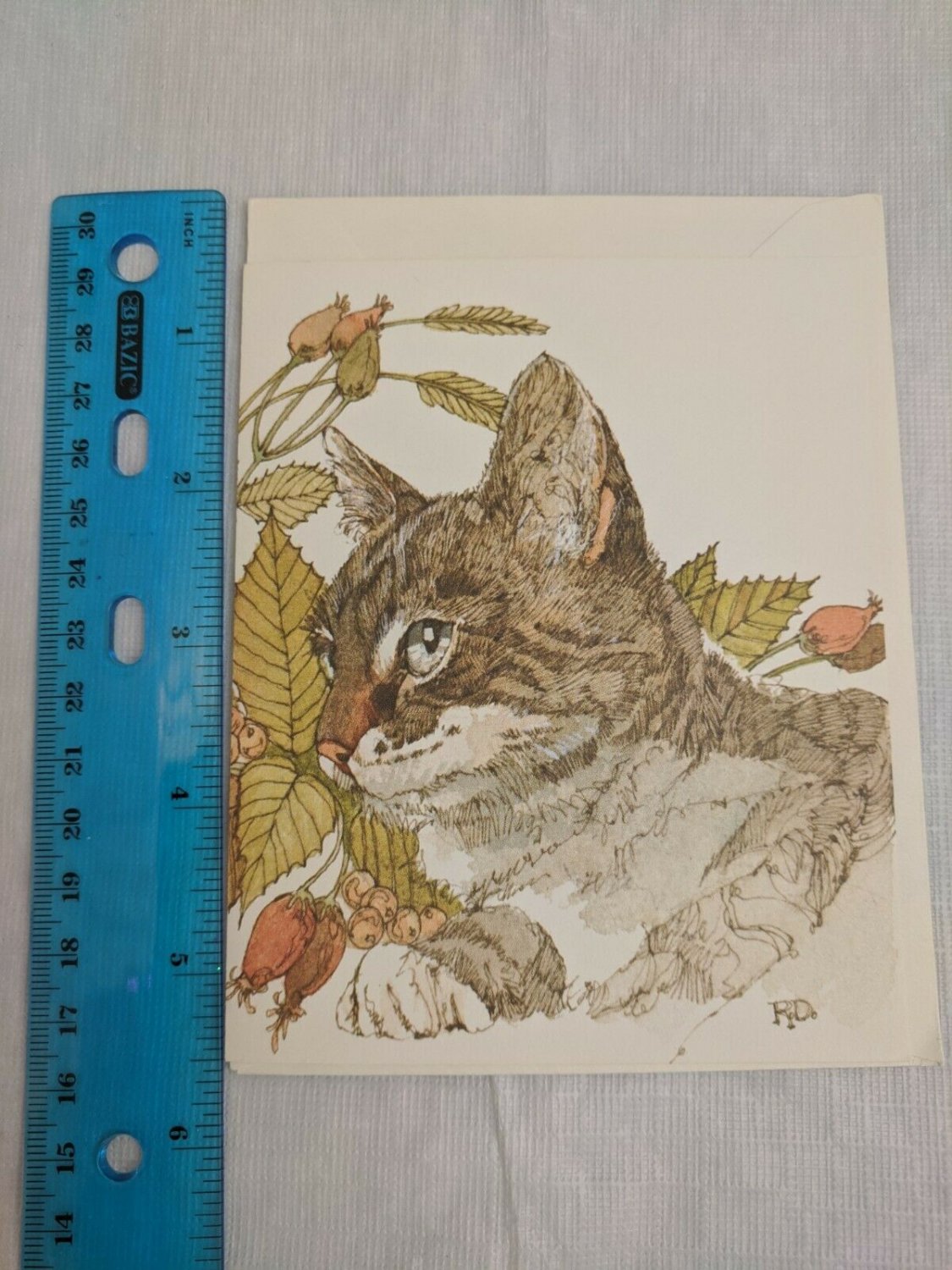 Current Inc Blank Note Card Gray Tabby Cat w/ Leaves, Berries R.D.