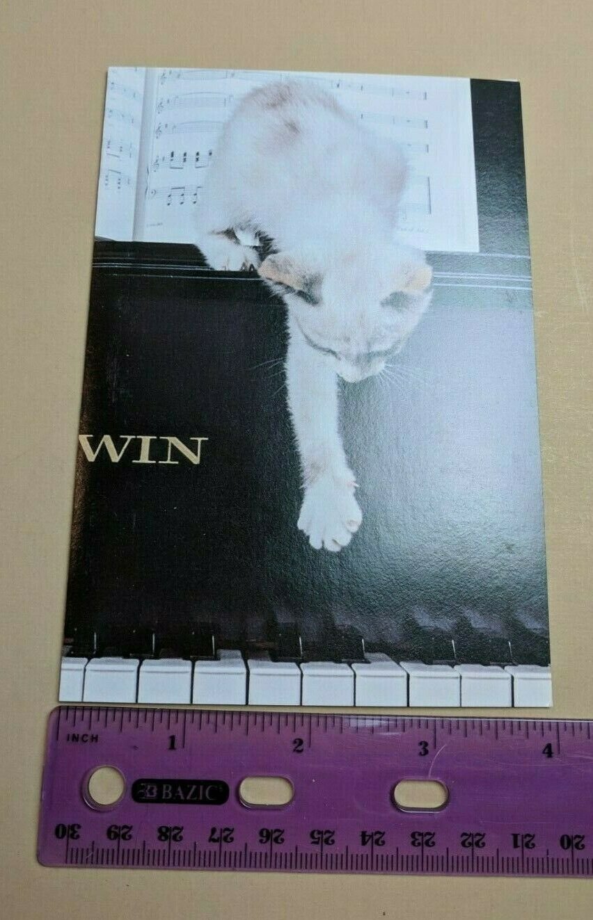 Drawing Board Greeting Card Kitten Cat on Piano Photo by Joe Hyles Unused