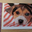 Beagle Puppy Dog Photograph Blank Note Card Unused Vintage Ron Kimball
