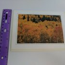Current Inc San Juan National Forest CO Larry Ulrich Photo Blank Greeting Card