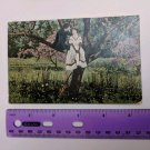 1909 Used Souvenir Postcard Windsor to Sun Prairie WI Theochrom Lovers, Tree VTG