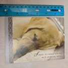 Feel Better Soon Card Gold Lab Dog