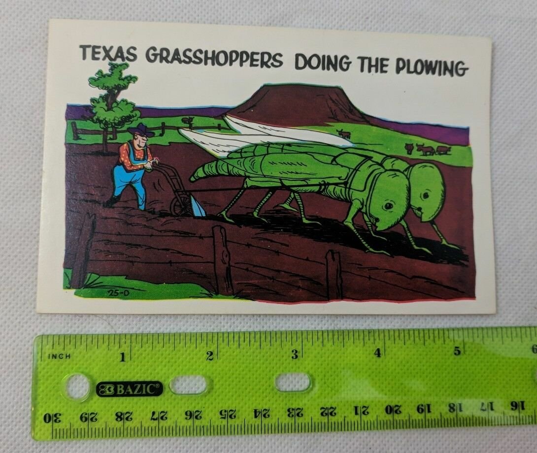 Texas Grasshoppers Doing The Plowing Laff Gram Humor Comic Postcard Baxtone