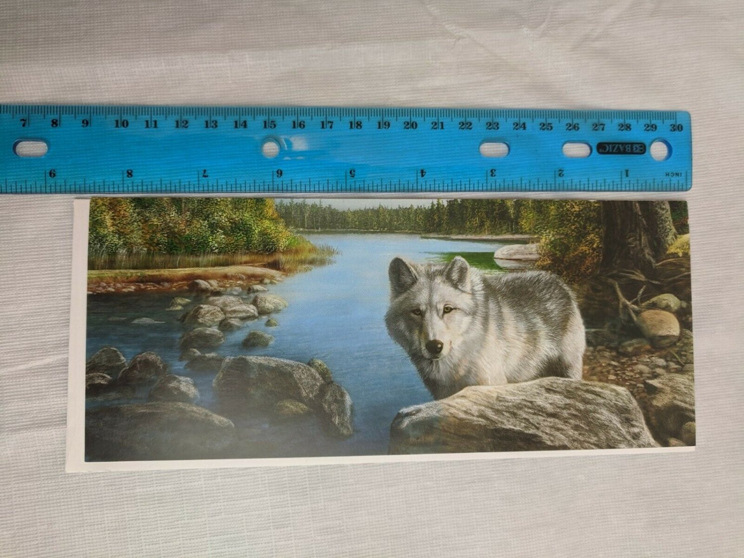 Blank Note Card - Wolf by Riverside by Kevin Daniel