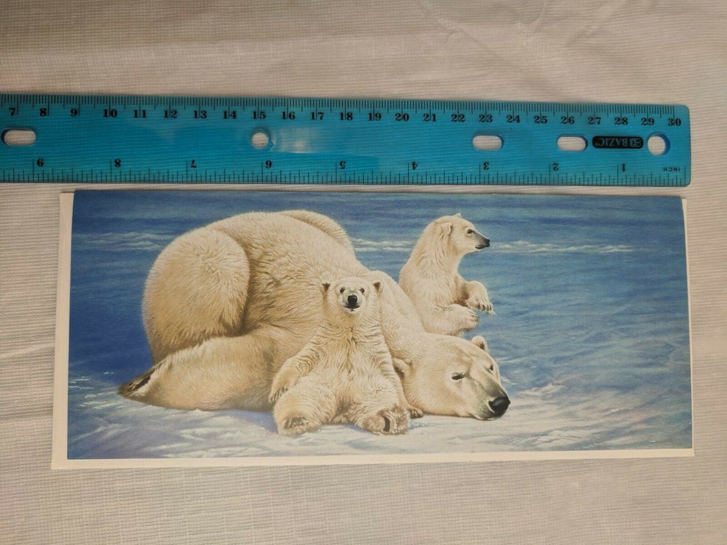 Blank Note Card - Polar Bears by Joh Naito