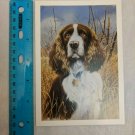Blank Note Card Spaniel Dog Artwork by Jim Killen