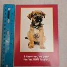 Get Well Soon Card Puppy Photo by Katerina Nikitina