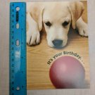Happy Birthday Card Puppy w/ Red Ball Photo by IKO