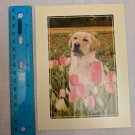Note Card Blank Inside Gold Lab in Pink/Yellow Tulip Field