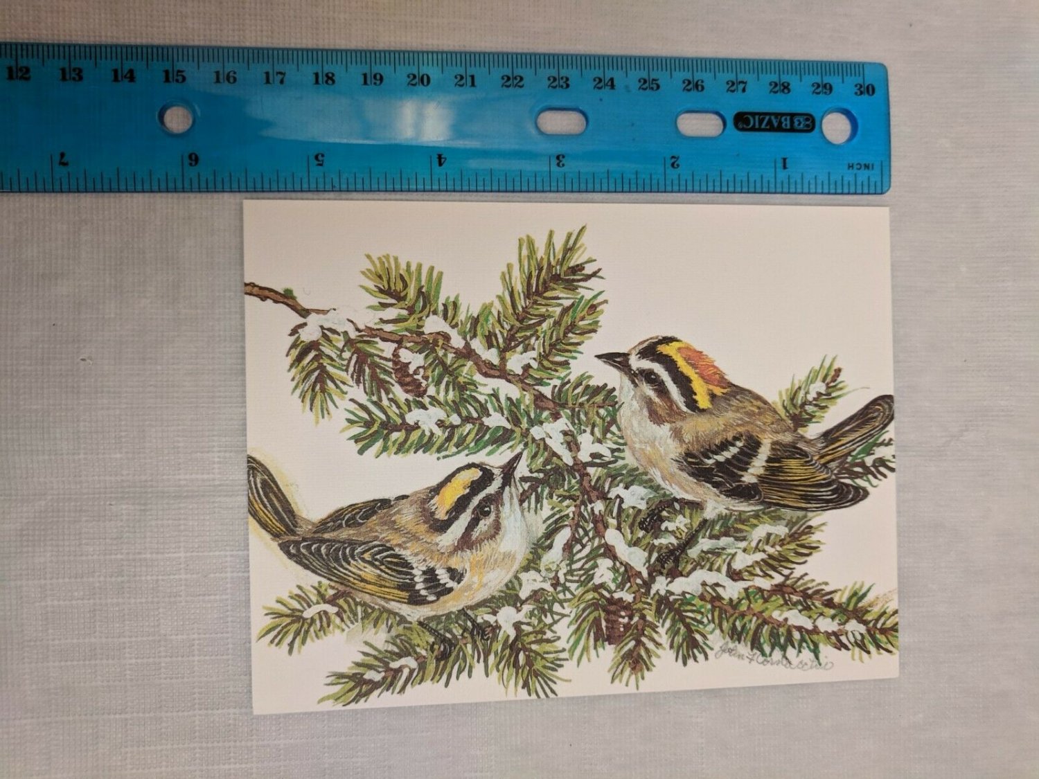 Note Card Blank Inside Golden-Crowned Kinglet Art by John Cornacchio