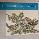 Note Card Blank Inside Golden-Crowned Kinglet Art by John Cornacchio