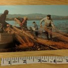 Salmon Fishing Fishermen in Boat Colourmaster Vintage Postcard UK Unused