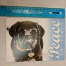 Peace on Earth Card Black Dog w/ Snow Photo by Edlyn Putnam