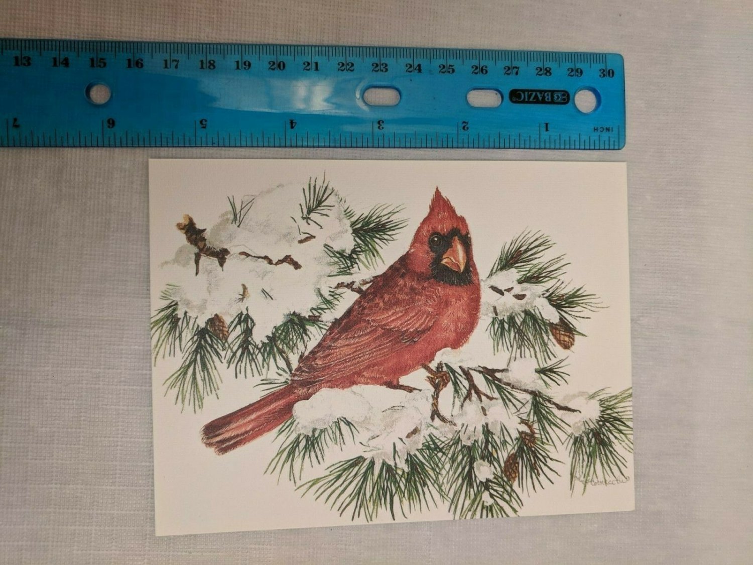 Note Card Blank Inside Northern Cardinal on Snowy Branch by John Cornacchio