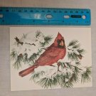 Note Card Blank Inside Northern Cardinal on Snowy Branch by John Cornacchio