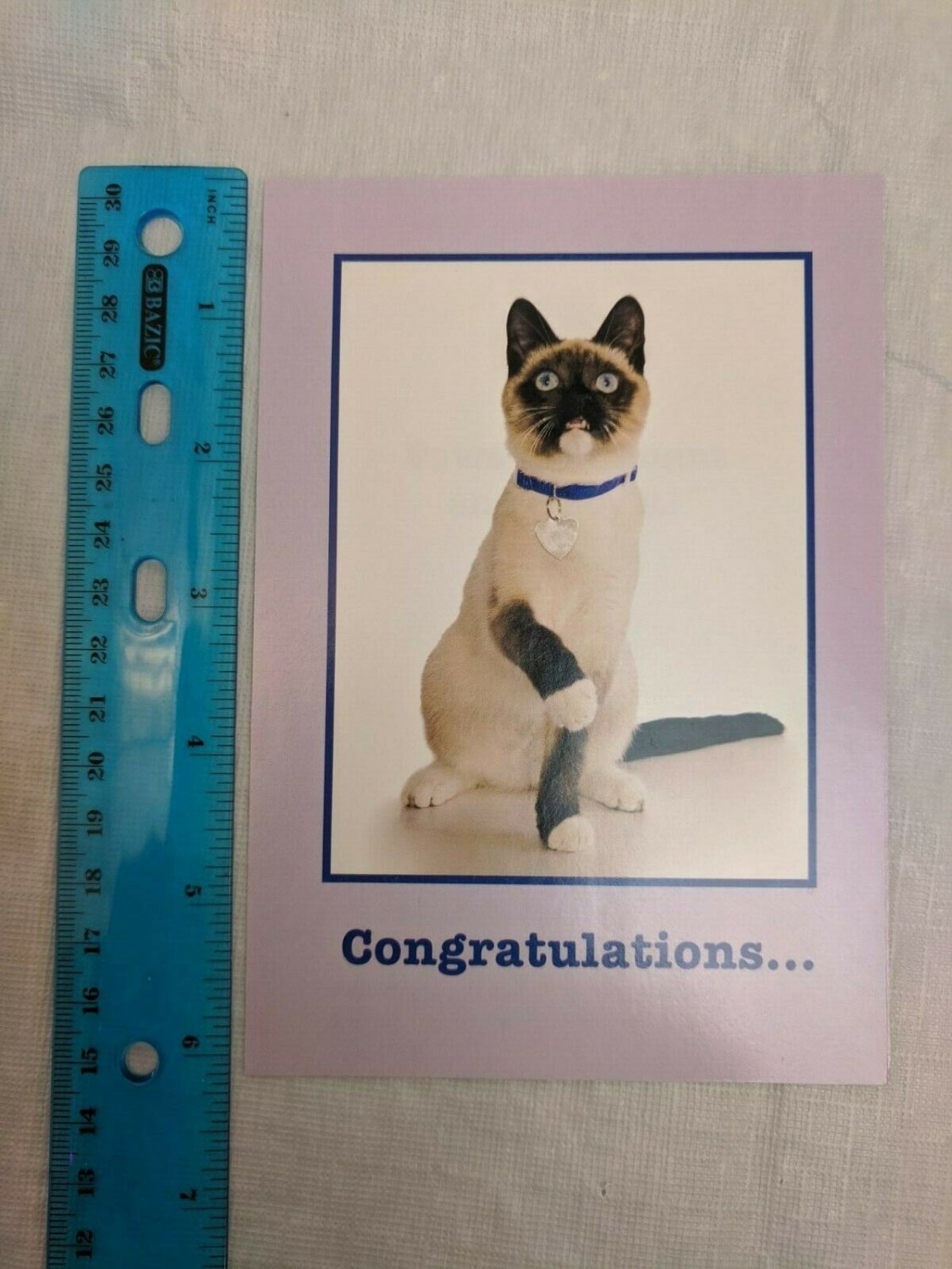 Congratulations Card Siamese Cat Photo by Robynrg