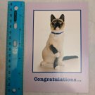 Congratulations Card Siamese Cat Photo by Robynrg