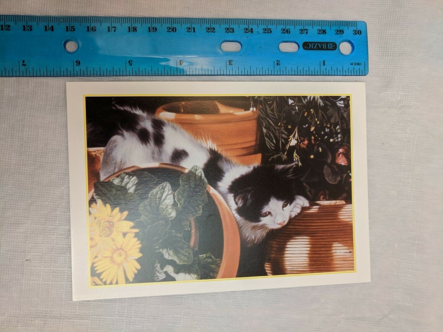 Blank Note Card Black & White Kitten w/ Flower Pots