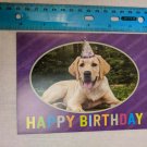 Happy Birthday Card Gold Lab w/ Party Hat, Purple Border