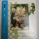 Christian Inspirations Birthday Card Fluffy Gray Kitten, Ivy, Watering Can