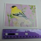 Cornell Lab of Ornithology Blank Note Card American Goldfinch Megan Knekow
