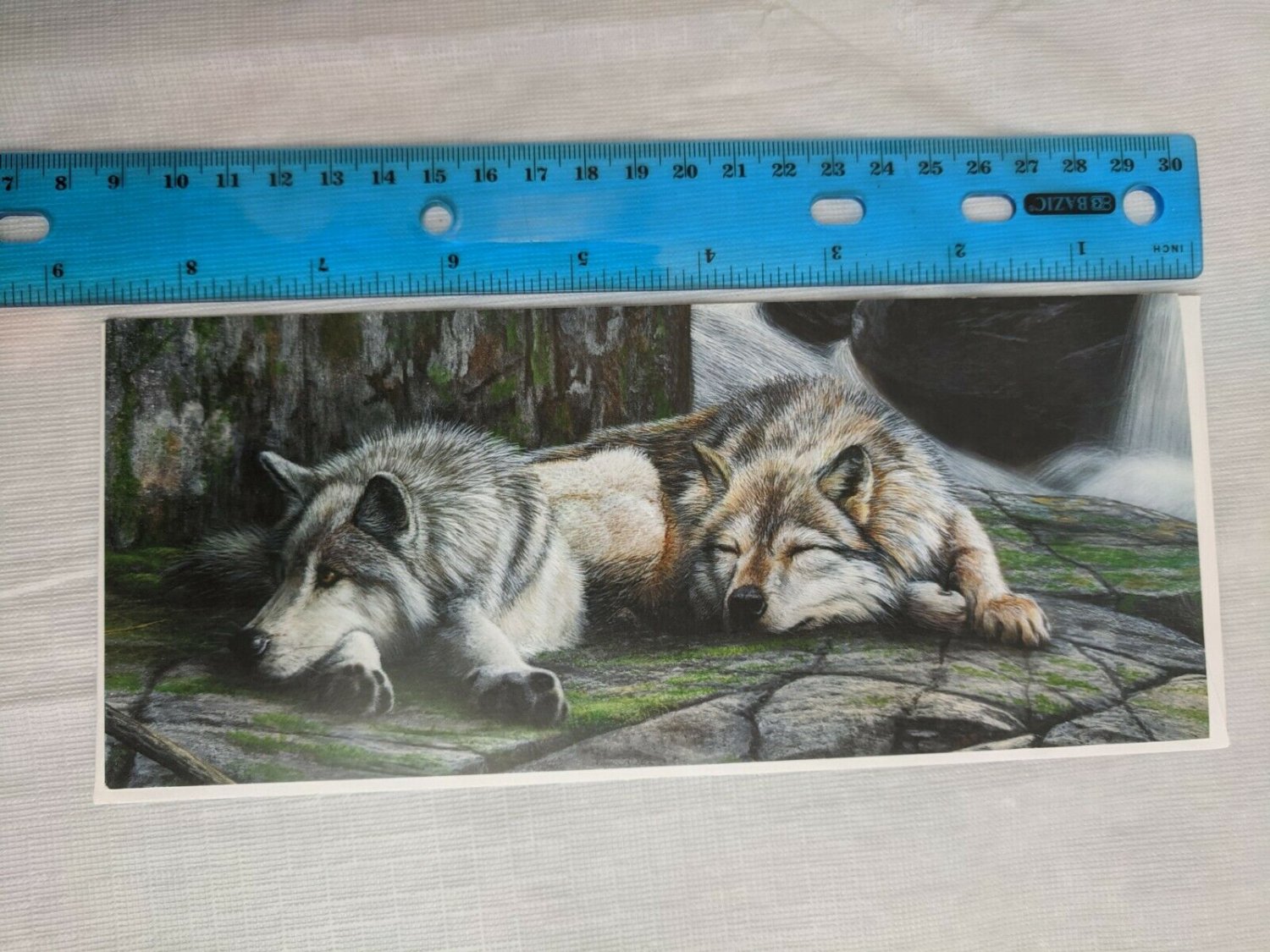 Blank Note Card - Wolves Sleeping on Mossy Stone by Kevin Daniel