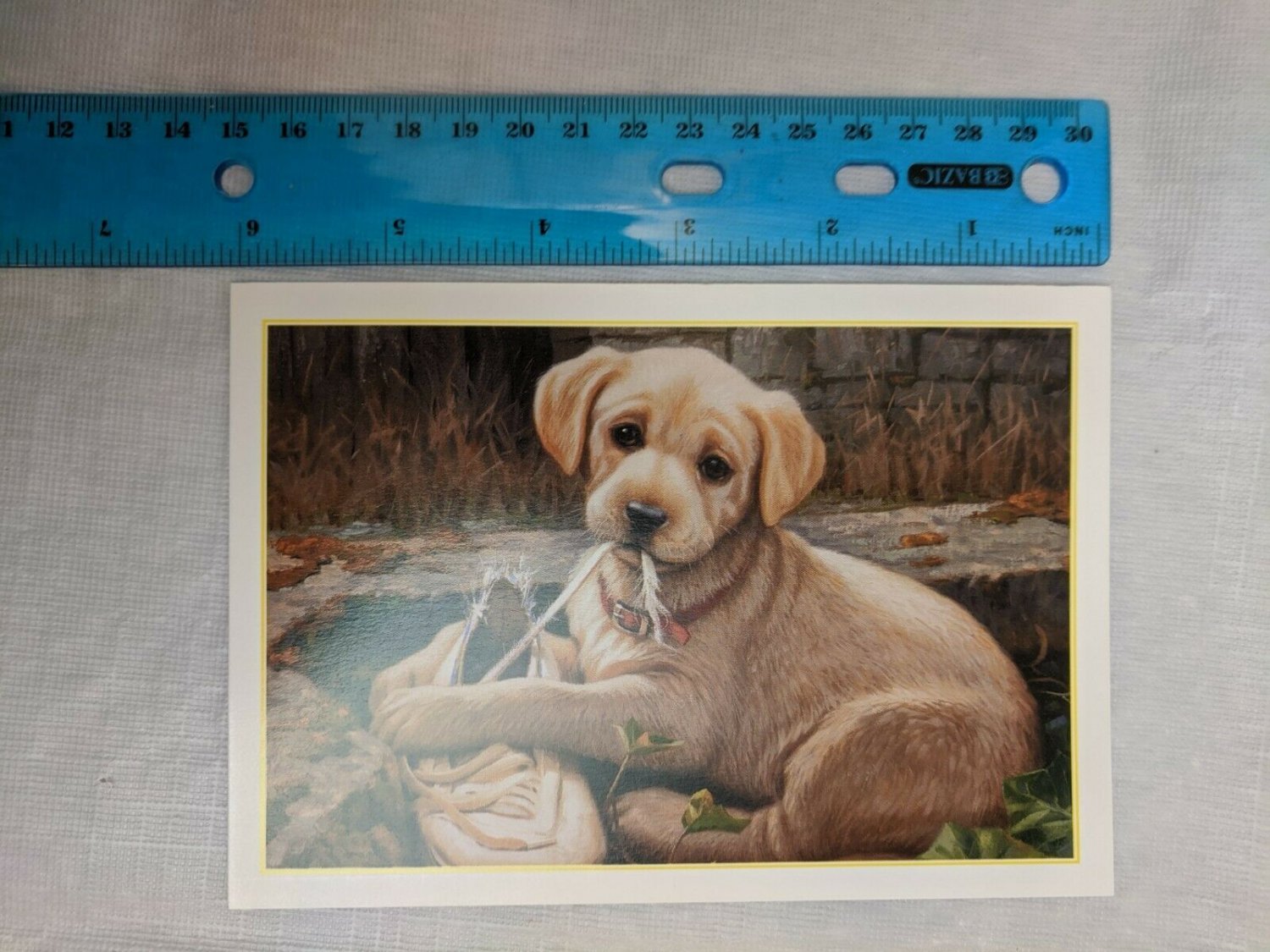 Blank Note Card Gold Lab Puppy Chewing Shoelaces by Jim Lamb
