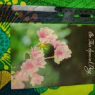GJC Floral Images Special Day Unused Card Pink Flowers
