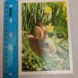 Blank Note Card Bunny Rabbit & Daffodils Photo by Robert C Hayes