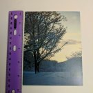 Paralyzed Veterans PVA Vintage Card Snowy Trees at Dusk Season's Greetings