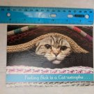 Get Well Soon Card Cat-astrophe Cat Under Sweaters by Koldunov Alexey