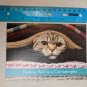 Get Well Soon Card Cat-astrophe Cat Under Sweaters by Koldunov Alexey