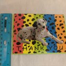 Forget Me Not American Greetings Thank You Dalmatian Dog Rainbow Blank Inside