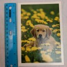 Blank Note Card Gold Lab Puppy in Dandelions by Uniphoto Picture Agency