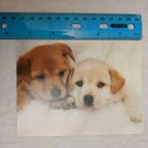 Blank Note Card Puppies on White Blanket Best Buddies A. Matoba Photo
