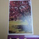 Famous Artists Studios Greeting Card VTG 1970s Been Thinking About You Tree