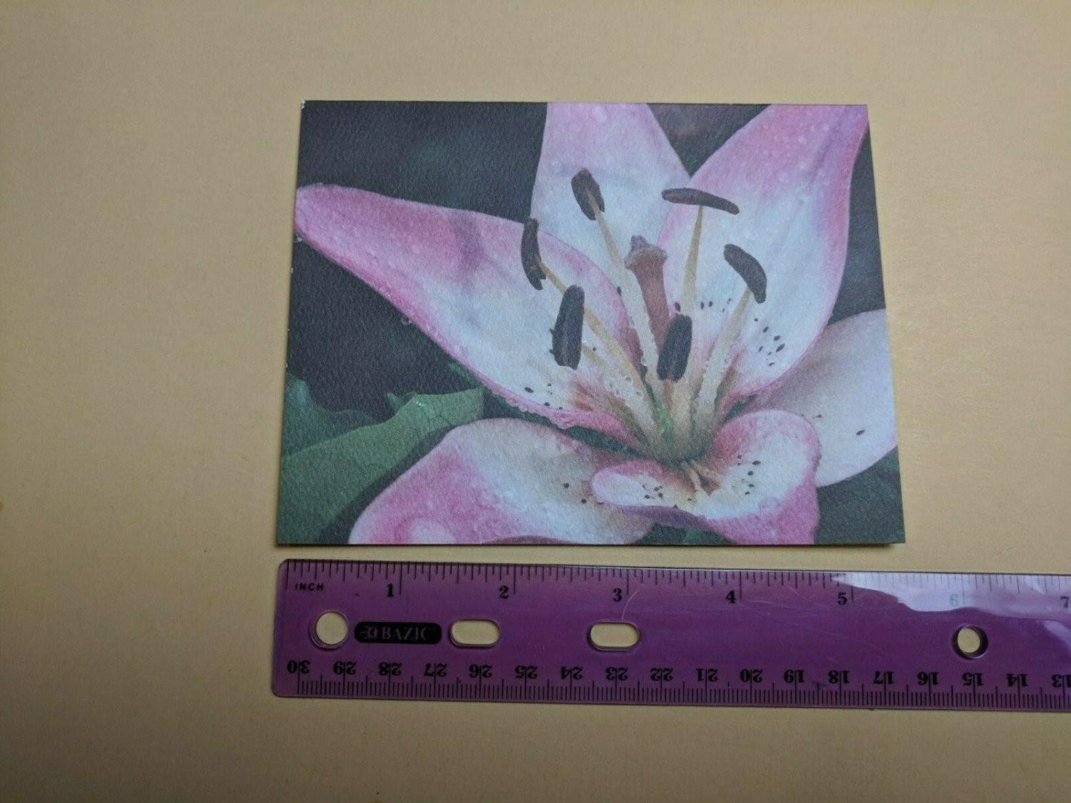 Blank Note Card Rain Soaked Lily Jacqueline Gaess 2009 Ray Hooper Design NYC