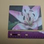 Blank Note Card Rain Soaked Lily Jacqueline Gaess 2009 Ray Hooper Design NYC