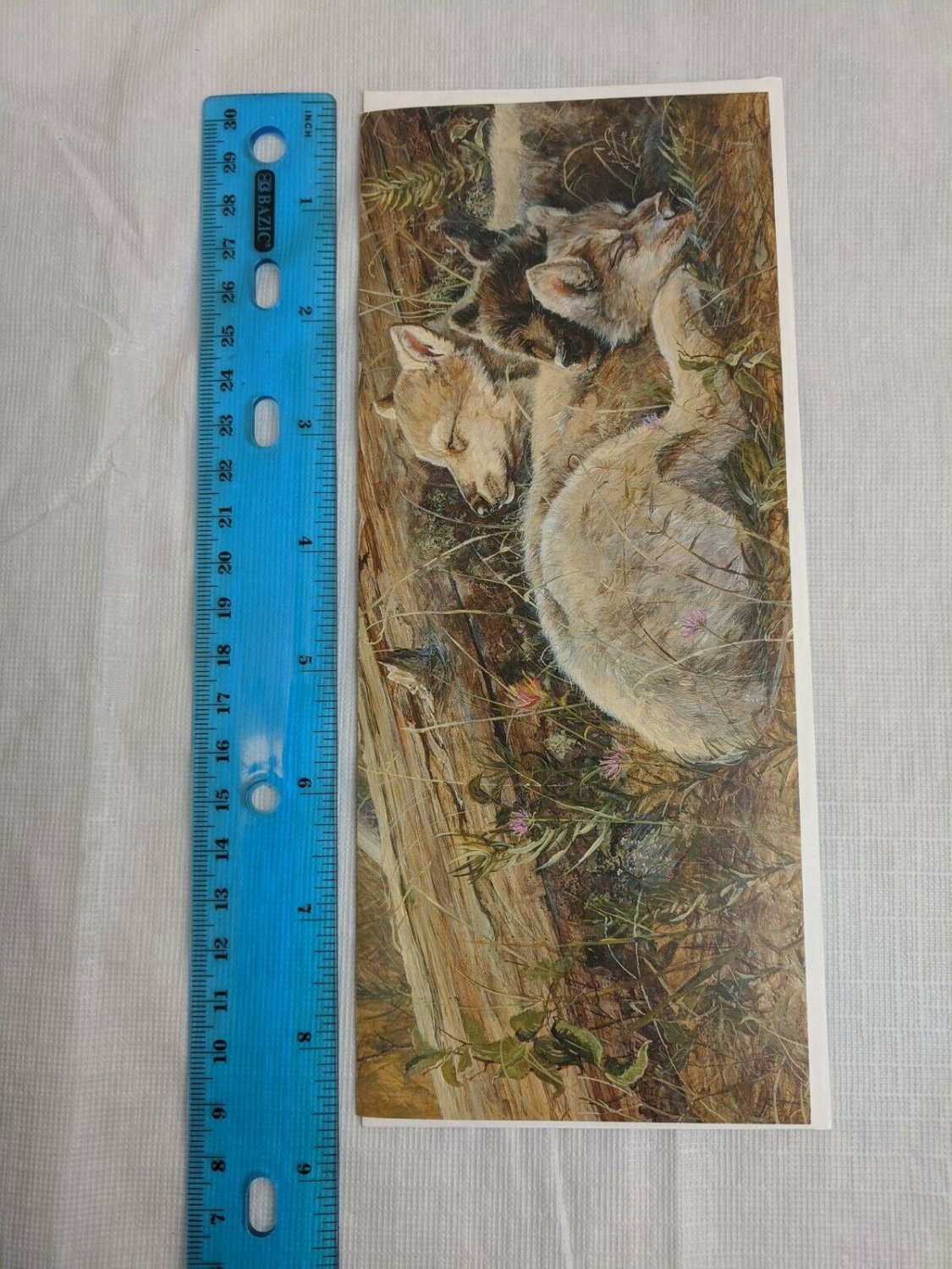 Blank Note Card - Wolf Cubs Sleeping by Log by Valeria Yost/Wild Wings