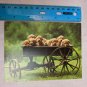 Blank Note Card Unused Wagon Load of Gold Lab Puppies T. Rosenthal Photo
